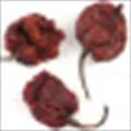 Carolina Reaper